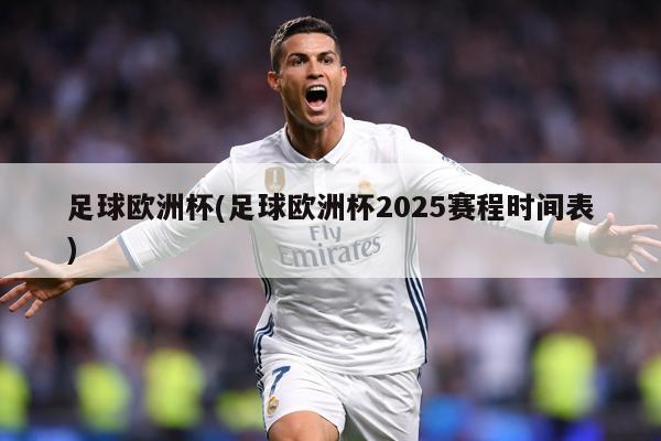足球欧洲杯(足球欧洲杯2025赛程时间表)