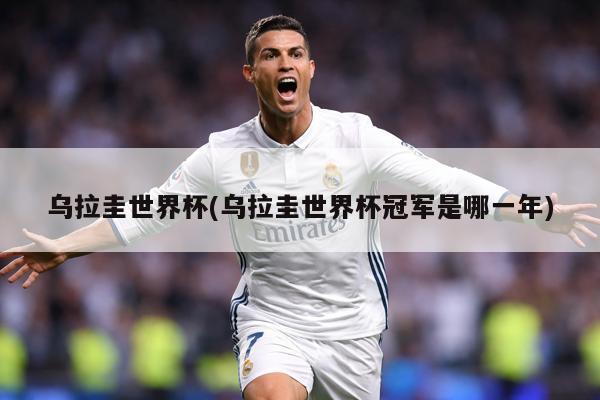 乌拉圭世界杯(乌拉圭世界杯冠军是哪一年)